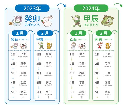 2025年干支|年賀状でも覚えておきたい、2025年の干支（十二支…